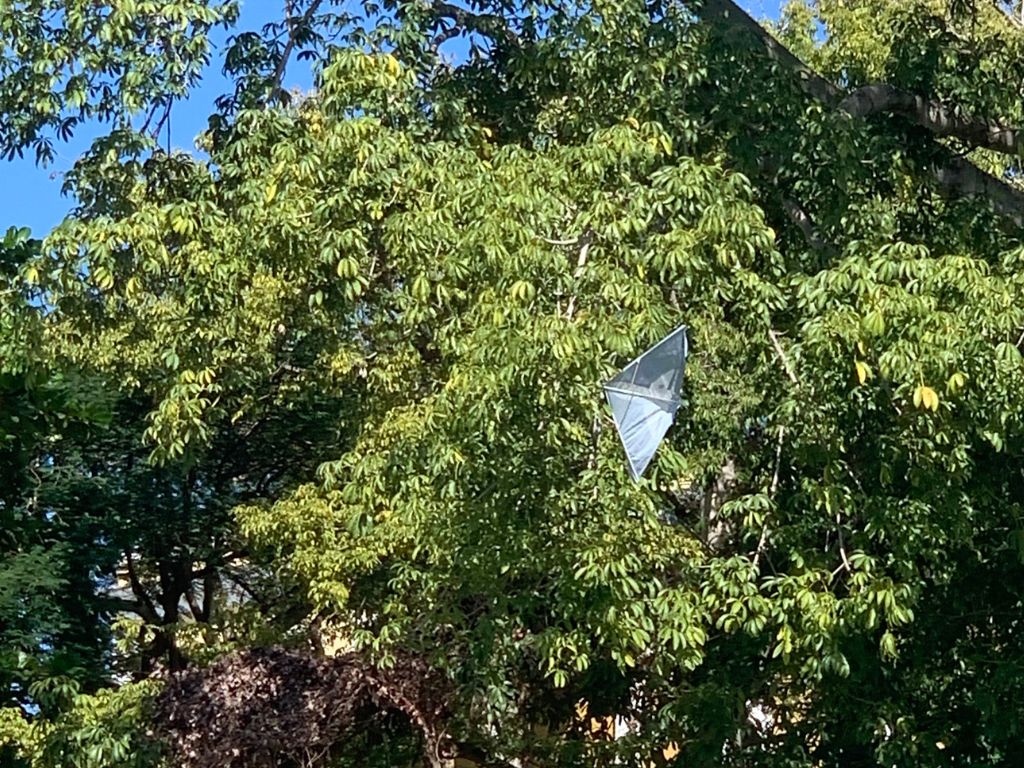 sin responder/no response